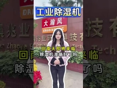 Deshumidificador de desecantes industriales para eliminar la humedad de manera eficiente Mantenga el espacio fresco y seco