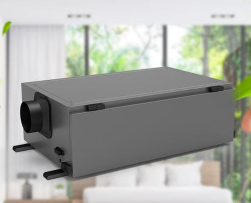 Un buen precio. Potente deshumidificador 480w para la prevención de moho y control de humedad en línea