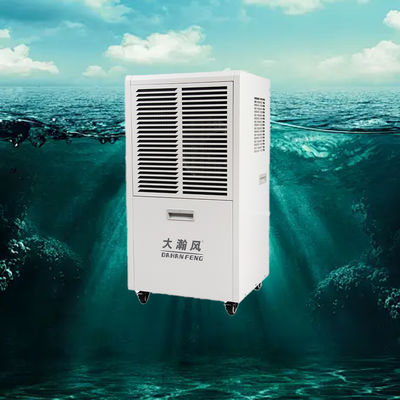 Un buen precio. Extienda la vida útil de sus electrodomésticos y equipos con nuestro deshumidificador comercial En línea